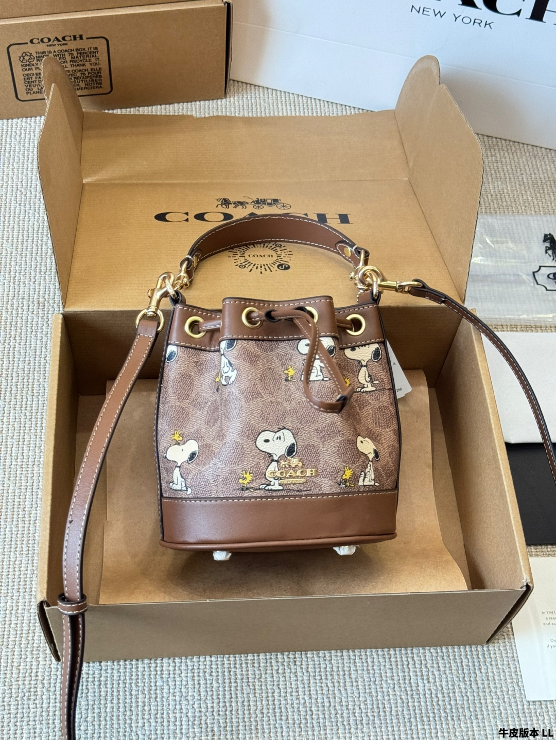 coach bag 273